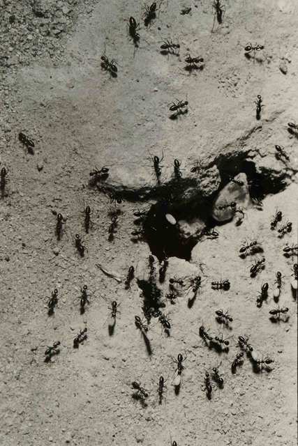 Hitoshi Fugo, ‘BLACKOUT #33’, 1983 -printed 2003, MIYAKO YOSHINAGA