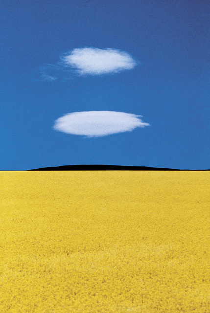 Franco Fontana, ‘Puglia’, 1978, Photography, Archival Pigment Print, Robert Klein Gallery