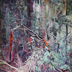Sarah Hendy