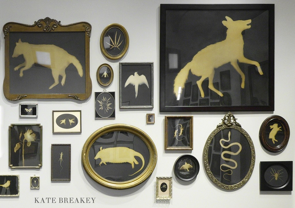 Kate Breakey: Las Sombras – Hand Colored Photograms in found frames Kate Breakey: Las Sombras – Hand Colored Photograms in found frames