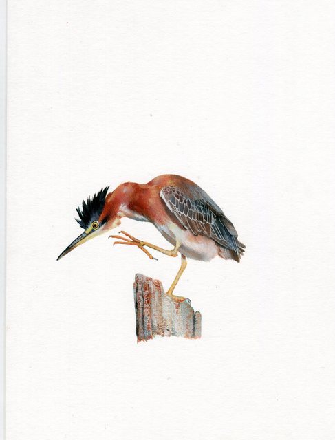 Dina Brodsky, ‘Shore Bird’, 2019, Garvey | Simon
