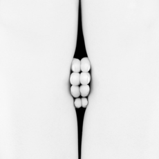 Eric Marrian