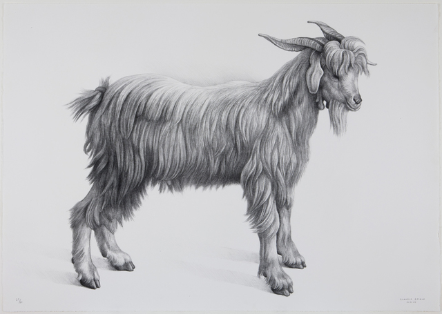 Claudio Bravo, ‘Cabra’, 2007, Print, Lithograph, Marlborough