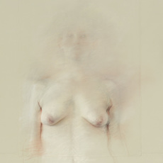 Anne Harris