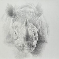 Holly Lowen