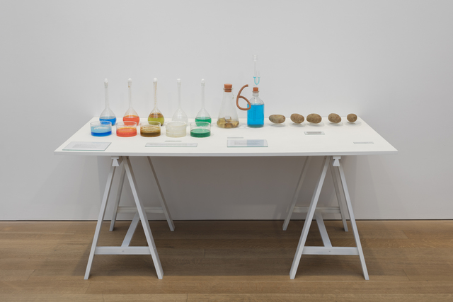 Victor Grippo, ‘Todo en marcha (Índice del movimento general de los seres y las cosas)’, 1973-1995, Sculpture, Glass bottles, dishes and flasks; salt solutions, potatoes and text on painted wooden table top and sawhorses, Alexander and Bonin