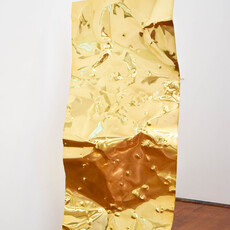 Charlotte Wong
