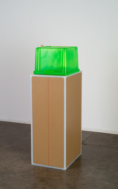 Hany Armanious, ‘Ejaculate and dick’, 2013, Roslyn Oxley9 Gallery