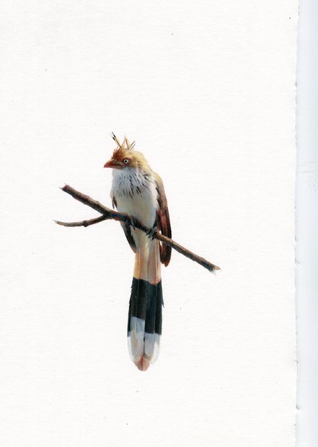 Dina Brodsky, ‘Cuckoo’, 2019, Garvey | Simon