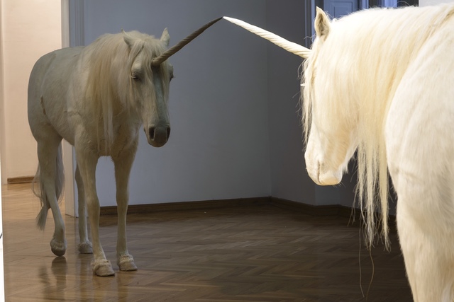 Aleksandar Duravcevic, ‘Another winter’, 2007, Sculpture, Taxidermy and black mirror, espacio artkunstarte