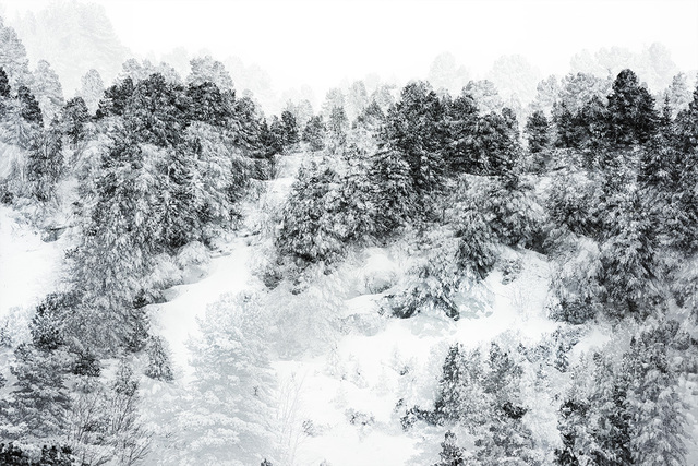 Eric Bourret, ‘Walk - Landscape 10 - France 4’, 2016, Sapar Contemporary