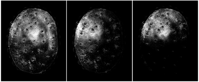 Eric Bourret, ‘Moon - France ’, 2001, Sapar Contemporary