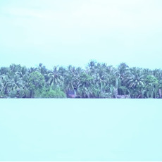 Sung Tieu