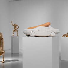 Erwin Wurm - Discipline of Subjectivity