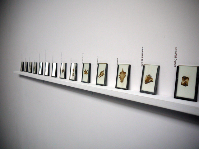 Stéfane Perraud, ‘Transmutations d'un même’, 2015, Galerie De Roussan