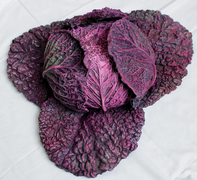 Rafael Muyor, ‘red cabbage opened’, 2019, Sculpture, Bronze, Galería Marita Segovia