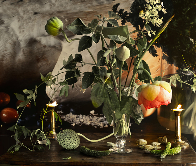 Vera Mercer, ‘Lotus’, 2012, Galerie Jordanow
