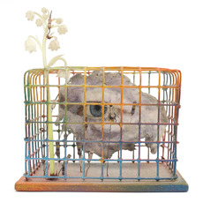 Tetsumi Kudo