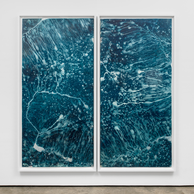 Meghann Riepenhoff, ‘Ecotone #715 (Diptych, Bainbridge Island, WA 07.11.19, Magnolia Throughfall and Showers)’, 2019, Photography, Two dynamic cyanotypes, Lora Reynolds Gallery