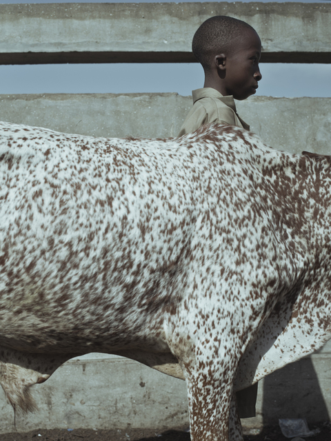 Cristina De Middel, ‘KUDE’, 2014, LA NEW GALLERY