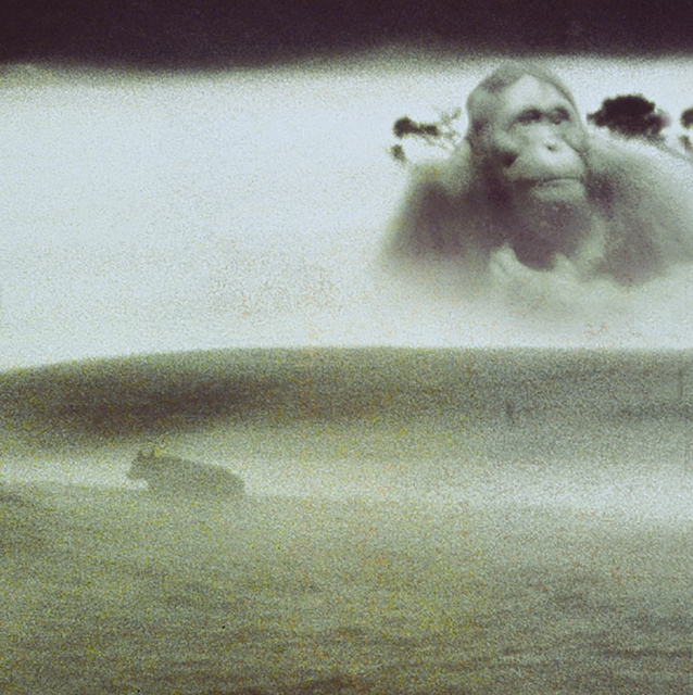 Lisa Roet, ‘Napoleon 3’, 2001, MARS
