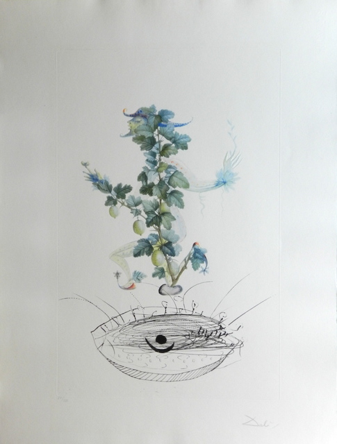 Salvador Dalí, ‘FlorDali/Les Fruits Gooseberry’, 1969, Print, Etching, Fine Art Acquisitions Dali