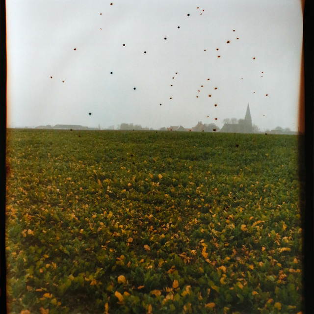 Dianne Bos, ‘Flanders Fields Belgium’, 2014, Newzones