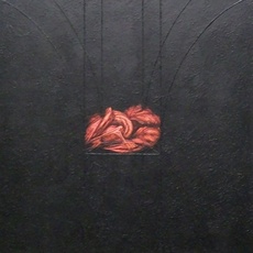 Maureen Drdak