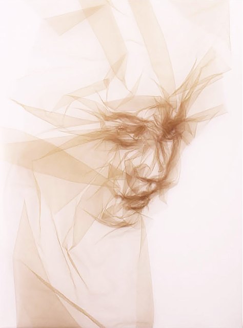 Benjamin Shine, ‘Within’, 2017, Installation, Mixed media, tulle on canvas, BOCCARA ART