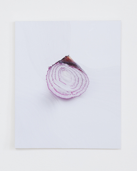 "Slicing the Onion No.002" Series 6 of 6, 2015 by Nerhol (Japan) "Slicing the Onion No.002" Series 6 of 6, 2015 by Nerhol (Japan)