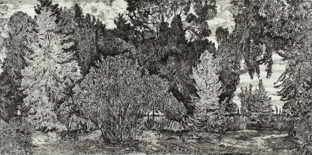 Nancy Friese, ‘Still Grove’, 2016, Print, Soft ground etching with aquatint, Cade Tompkins Projects