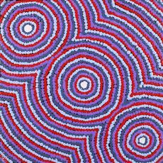 Virginia Sims NAPALJARRI