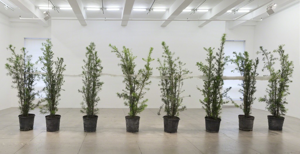 Giuseppe Penone: Indistinti confini/ Indistinct Boundaries; Installation View; Marian Goodman Gallery, New York; March 18 – April 25, 2015 Giuseppe Penone: Indistinti confini/ Indistinct Boundaries; Installation View; Marian Goodman Gallery, New York; March 18 – April 25, 2015