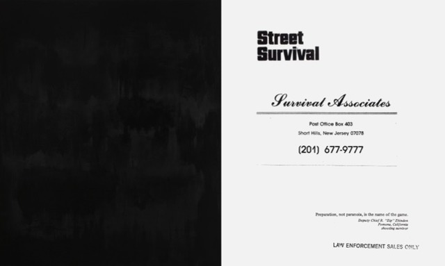 Gardar Eide Einarsson, ‘Untitled (Street Survival)’, 2011, Nordic Contemporary Art Collection