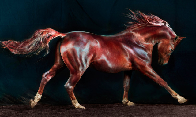 Jill Greenberg, ‘Sid #174’, 2010, ClampArt