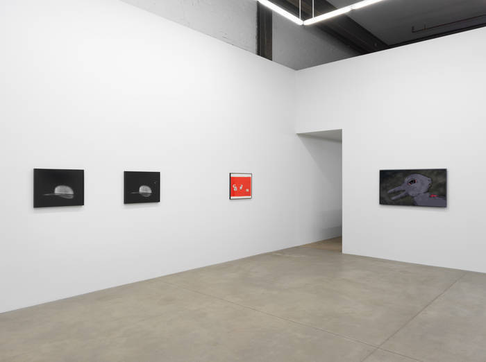 In the Air (installation view, Koenig & Clinton, Brooklyn) In the Air (installation view, Koenig & Clinton, Brooklyn)