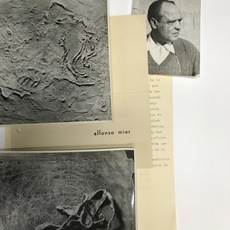 Alfonso Mier