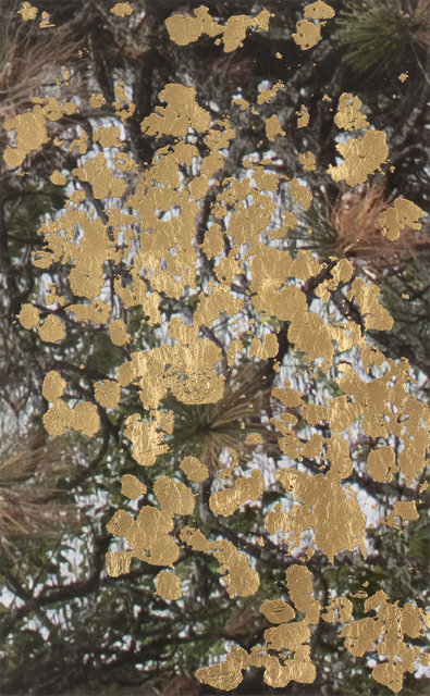Jim Hodges, ‘our somewhere’, 2017, Drawing, Collage or other Work on Paper, Gold leaf silkscreened on archival pigment print, Anthony Meier Fine Arts