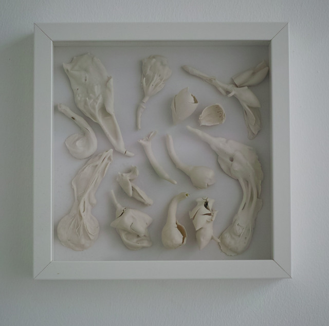 , '干燥植物 Herbarium ,' 2017, Amy Li Gallery