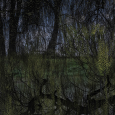 Didier Goupy