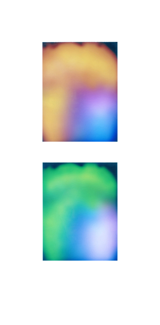 Francesca Grilli, ‘Golden Age_Ben_#1#2’, 2016, Umberto Di Marino
