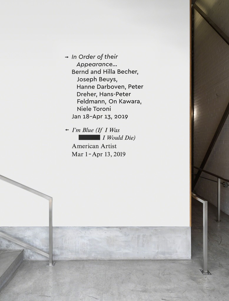 I’m Blue (If I Was █████ I Would Die) (installation view, Koenig & Clinton, Brooklyn), 2019 I’m Blue (If I Was █████ I Would Die) (installation view, Koenig & Clinton, Brooklyn), 2019