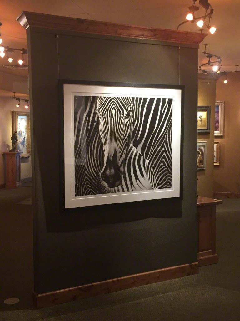 Out of Africa (shown) David Yarrow Out of Africa (shown) David Yarrow
