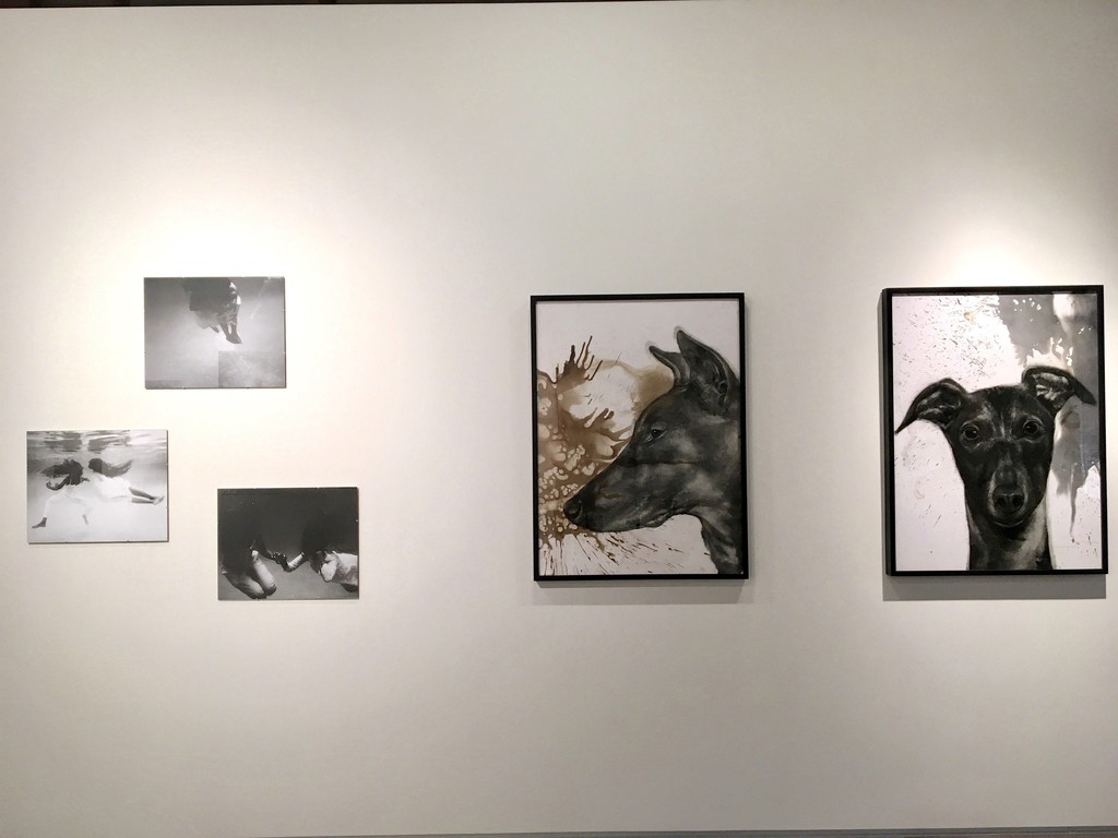 Photographs by Henny Harmon on Left, mixed media drawings by Juan Perdiguero on Right Photographs by Henny Harmon on Left, mixed media drawings by Juan Perdiguero on Right