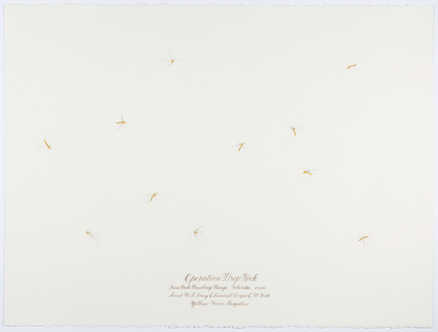 Cynthia Mulcahy, ‘Operation Drop kick, from the War Garden series’, 2017, Talley Dunn Gallery