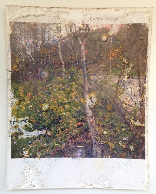 Stephen Gill - Artworks for Sale & More | Artsy