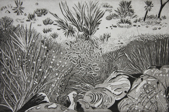 Kate Crook, ‘Joshua Tree #1’, 2017, Print, Lithograph , Ed. 50 , Somerset White Paper, acid free, Asher Grey Gallery
