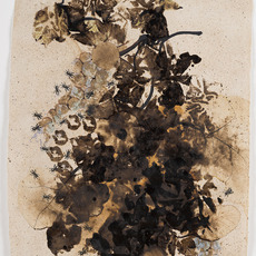 Murat Morova
