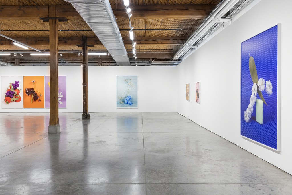 Michelle Bui, Centerfold, 2019, installation view. Michelle Bui, Centerfold, 2019, installation view.