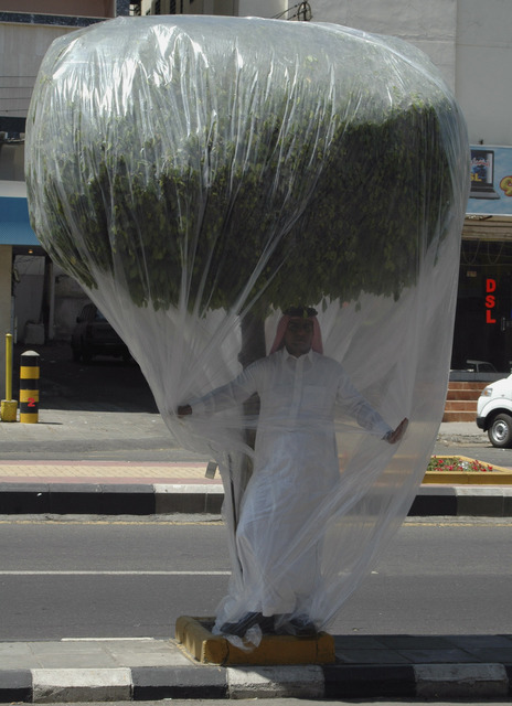 Abdulnasser Gharem, ‘Flora & Fauna’, 2013, Galerie Brigitte Schenk